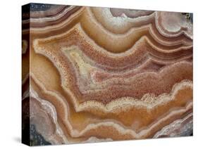 Banded Mexican Agate, Sammamish, WA-Darrell Gulin-Stretched Canvas