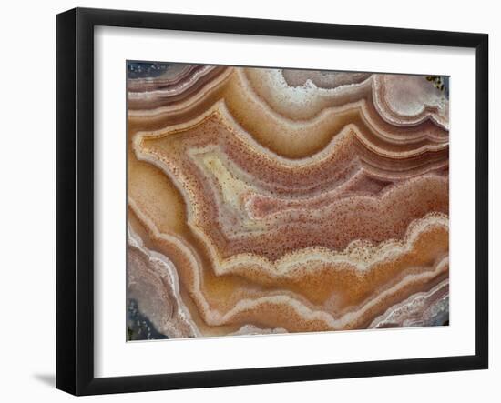 Banded Mexican Agate, Sammamish, WA-Darrell Gulin-Framed Photographic Print