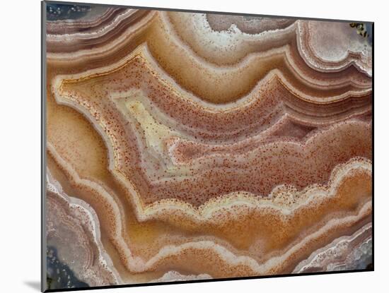 Banded Mexican Agate, Sammamish, WA-Darrell Gulin-Mounted Photographic Print