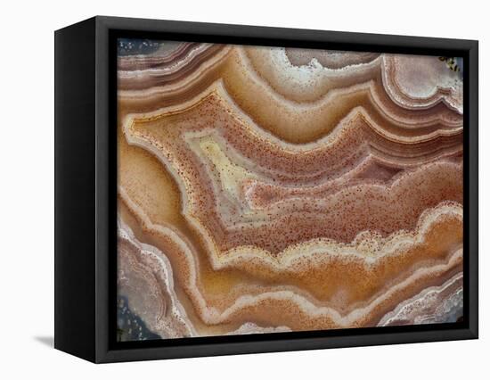 Banded Mexican Agate, Sammamish, WA-Darrell Gulin-Framed Stretched Canvas