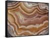 Banded Mexican Agate, Sammamish, WA-Darrell Gulin-Framed Stretched Canvas
