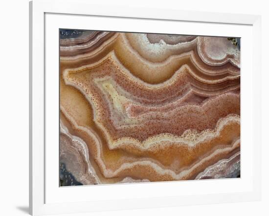 Banded Mexican Agate, Sammamish, WA-Darrell Gulin-Framed Photographic Print