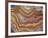 Banded Mexican Agate, Sammamish, WA-Darrell Gulin-Framed Photographic Print