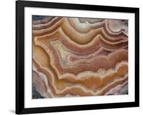 Banded Mexican Agate, Sammamish, WA-Darrell Gulin-Framed Photographic Print