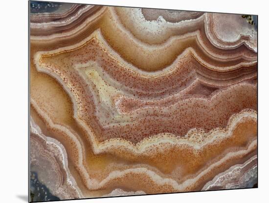 Banded Mexican Agate, Sammamish, WA-Darrell Gulin-Mounted Photographic Print