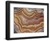 Banded Mexican Agate, Sammamish, WA-Darrell Gulin-Framed Photographic Print