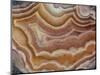 Banded Mexican Agate, Sammamish, WA-Darrell Gulin-Mounted Photographic Print