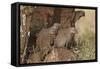 Banded Mongoose (Mungos Mungo), Serengeti National Park, Tanzania, East Africa, Africa-James Hager-Framed Stretched Canvas