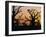 Bandia Forest, Senegal, Africa-Sylvain Grandadam-Framed Photographic Print