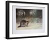 Bandit-M^ Barker-Framed Collectable Print