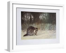 Bandit-M^ Barker-Framed Collectable Print