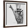Bandit-Rusty Frentner-Framed Giclee Print