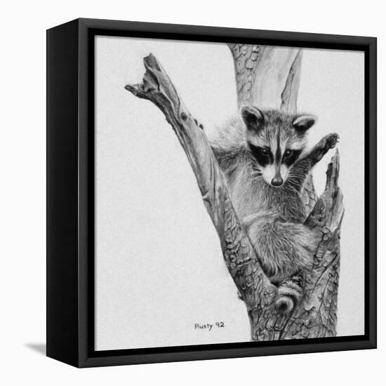 Bandit-Rusty Frentner-Framed Stretched Canvas