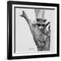 Bandit-Rusty Frentner-Framed Giclee Print