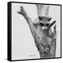 Bandit-Rusty Frentner-Framed Stretched Canvas