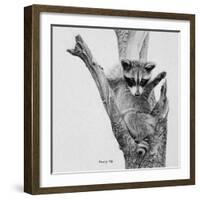 Bandit-Rusty Frentner-Framed Giclee Print