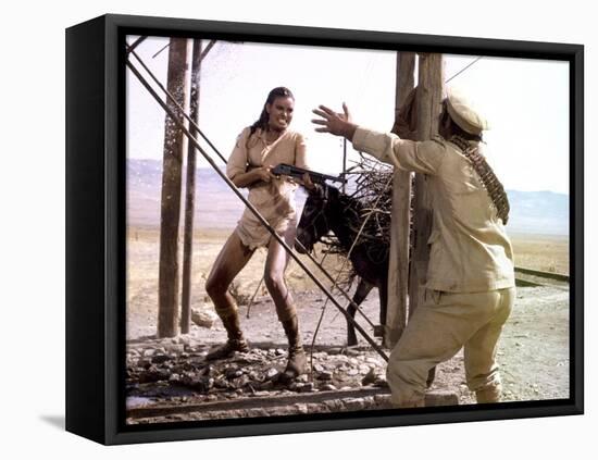 BANDOLERO, 1968 directed by ANDREW McLAGLEN with Raquel Welch (photo)-null-Framed Stretched Canvas