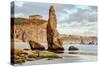 Bandon Beach Life, Oregon Coast-Vincent James-Stretched Canvas