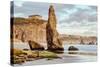 Bandon Beach Life, Oregon Coast-Vincent James-Stretched Canvas