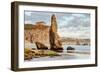 Bandon Beach Life, Oregon Coast-Vincent James-Framed Photographic Print