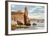 Bandon Beach Life, Oregon Coast-Vincent James-Framed Photographic Print