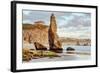 Bandon Beach Life, Oregon Coast-Vincent James-Framed Photographic Print