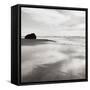 Bandon Beach Oregon I Crop-Alan Majchrowicz-Framed Stretched Canvas