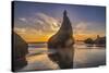 Bandon Beach, Oregon-John Ford-Stretched Canvas