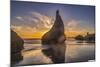 Bandon Beach, Oregon-John Ford-Mounted Photographic Print