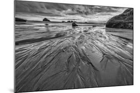Bandon Beach, Oregon-John Ford-Mounted Photographic Print