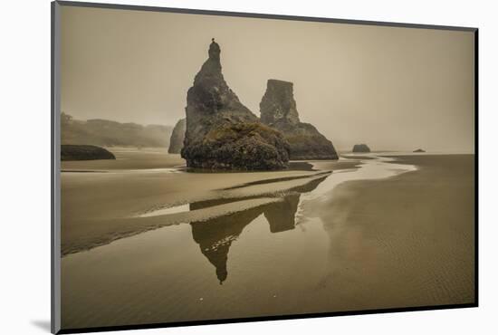 Bandon Beach, Oregon-John Ford-Mounted Photographic Print