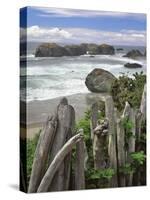 Bandon Beach-Steve Terrill-Stretched Canvas