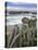 Bandon Beach-Steve Terrill-Stretched Canvas