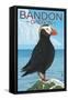 Bandon, Oregon - Puffin (Version 2)-Lantern Press-Framed Stretched Canvas