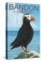 Bandon, Oregon - Puffin (Version 2)-Lantern Press-Stretched Canvas