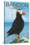 Bandon, Oregon - Puffin (Version 2)-Lantern Press-Stretched Canvas