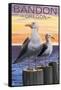 Bandon, Oregon - Sea Gulls-Lantern Press-Framed Stretched Canvas