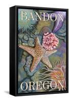 Bandon, Oregon - Tidepools-Lantern Press-Framed Stretched Canvas