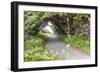 Bandon, Oregon, USA. Evergreen trees creating a tunnel over a path on the Oregon coast.-Emily Wilson-Framed Photographic Print