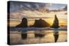 Bandon, Oregon, USA. Sea stacks on the Oregon coast at sunset.-Emily Wilson-Stretched Canvas