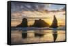 Bandon, Oregon, USA. Sea stacks on the Oregon coast at sunset.-Emily Wilson-Framed Stretched Canvas