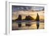 Bandon, Oregon, USA. Sea stacks on the Oregon coast at sunset.-Emily Wilson-Framed Photographic Print