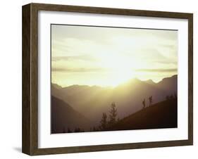 Banff, Alberta, Canada-null-Framed Premium Photographic Print