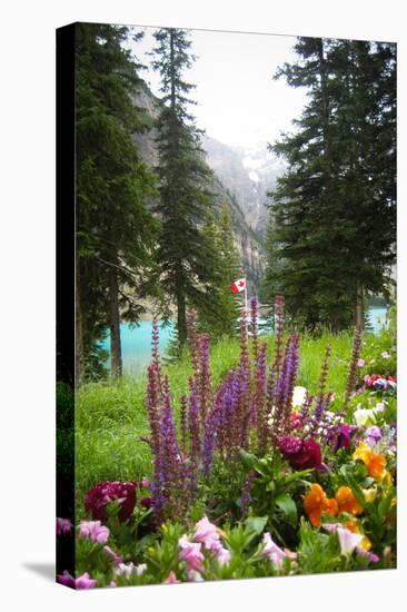 Banff Flowers In National Park Nature Photo Poster-null-Stretched Canvas