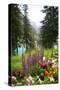 Banff Flowers In National Park Nature Photo Poster-null-Stretched Canvas