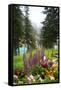 Banff Flowers In National Park Nature Photo Poster-null-Framed Stretched Canvas