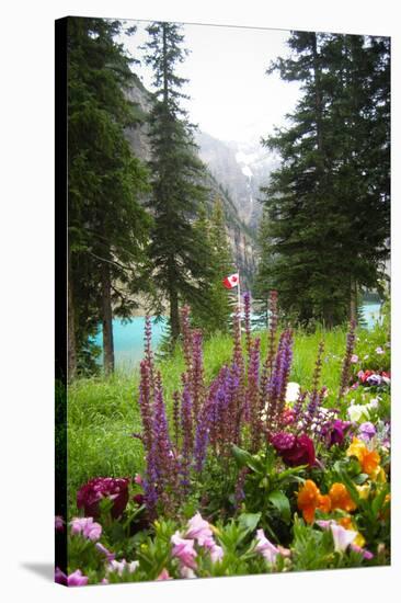 Banff Flowers In National Park Nature Photo Poster-null-Stretched Canvas