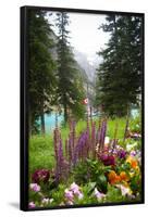 Banff Flowers In National Park Nature Photo Poster-null-Framed Poster
