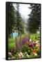 Banff Flowers In National Park Nature Photo Poster-null-Framed Poster