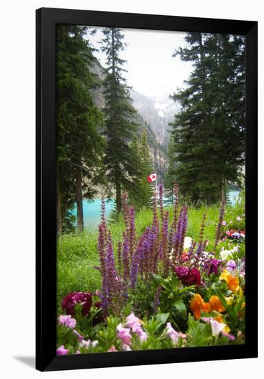 Banff Flowers In National Park Nature Photo Poster-null-Framed Poster